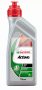 Castrol Power 1 2T, 1L